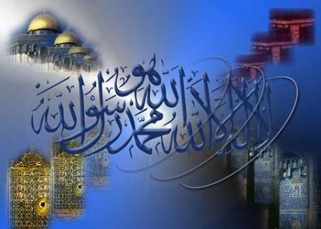  Les &eacute;motic&ocirc;nes de Cheykh Zayd al Madkhali