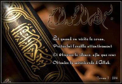 Les P&eacute;ch&eacute;s du Ventre